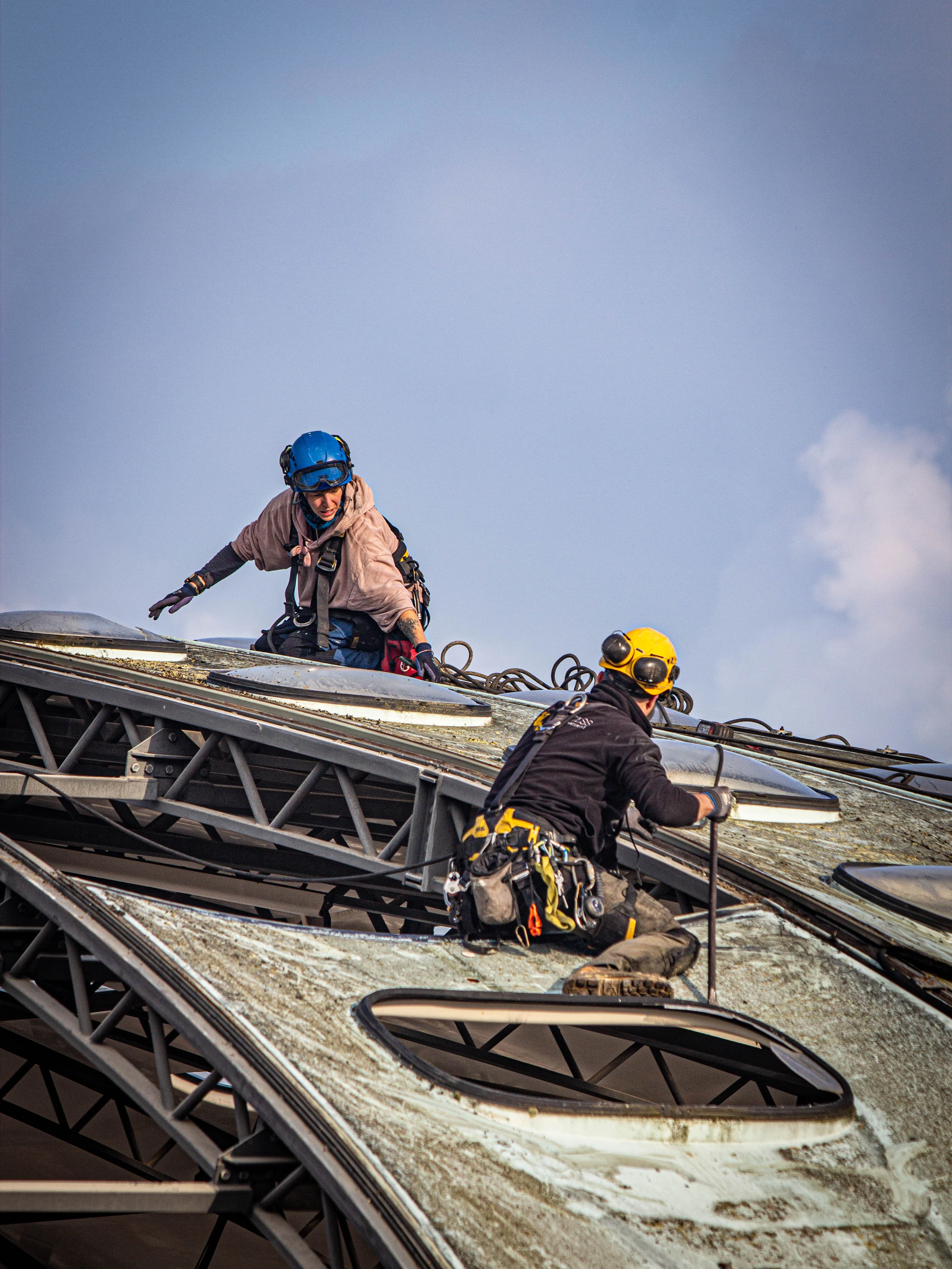 Intervention de cordistes MS Access pour le tournesol perd ses pétales chez AVENIR DECONSTRUCTION à Braud-Saint-Louis (bâtiment) – 1